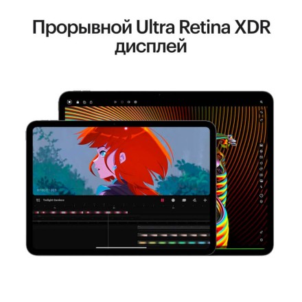 Планшет Apple iPad Pro 13" 1Tb (2024) Wi-Fi + Cellular нанотекстурное стекло «черный космос»